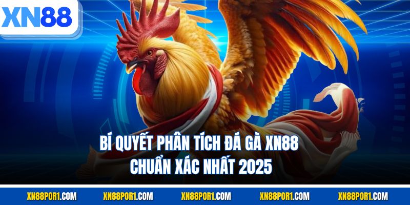 Bí quyết phân tích đá gà XN88 chuẩn xác nhất 2025
